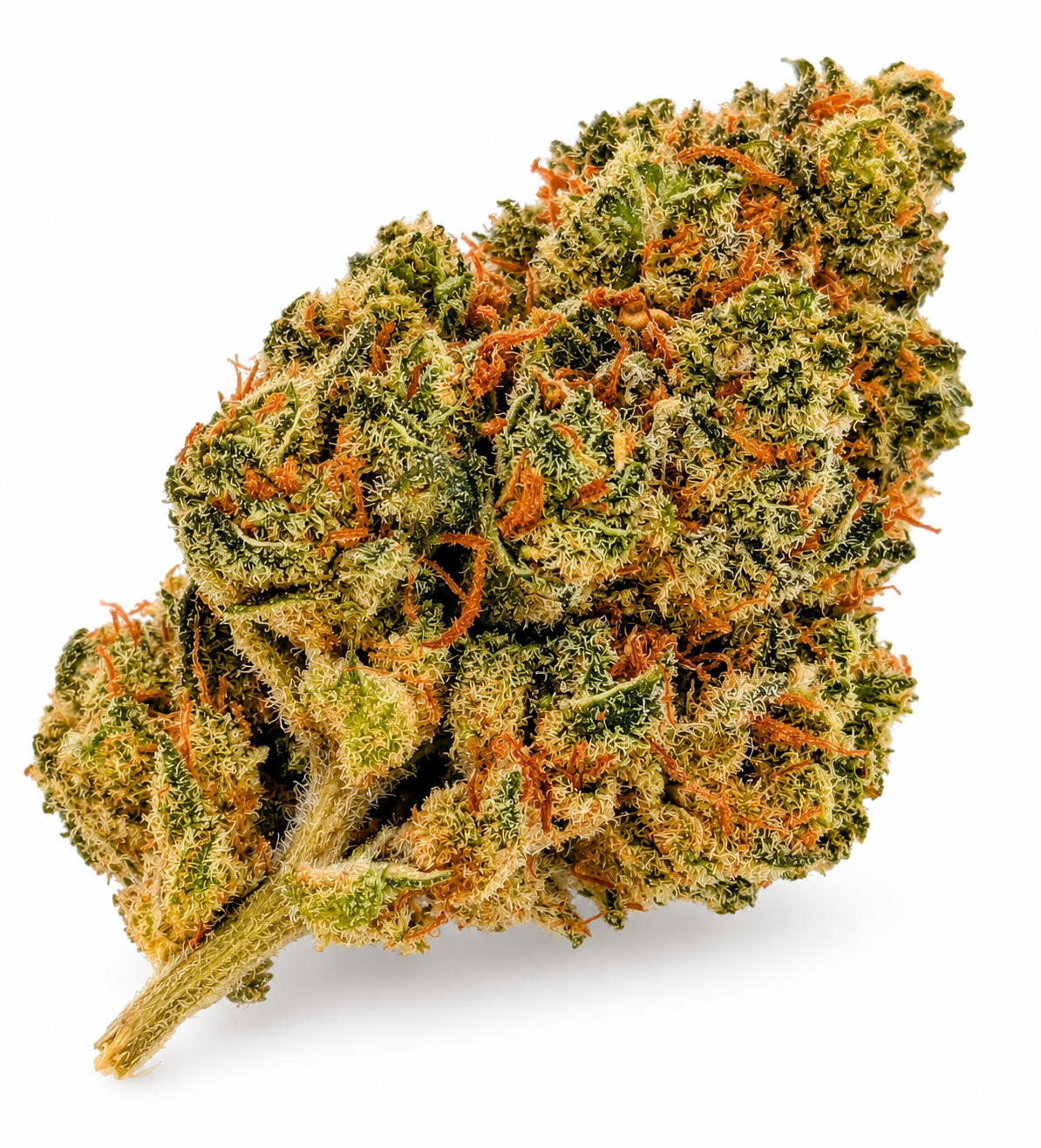 Caviar Haze New Generation Infused