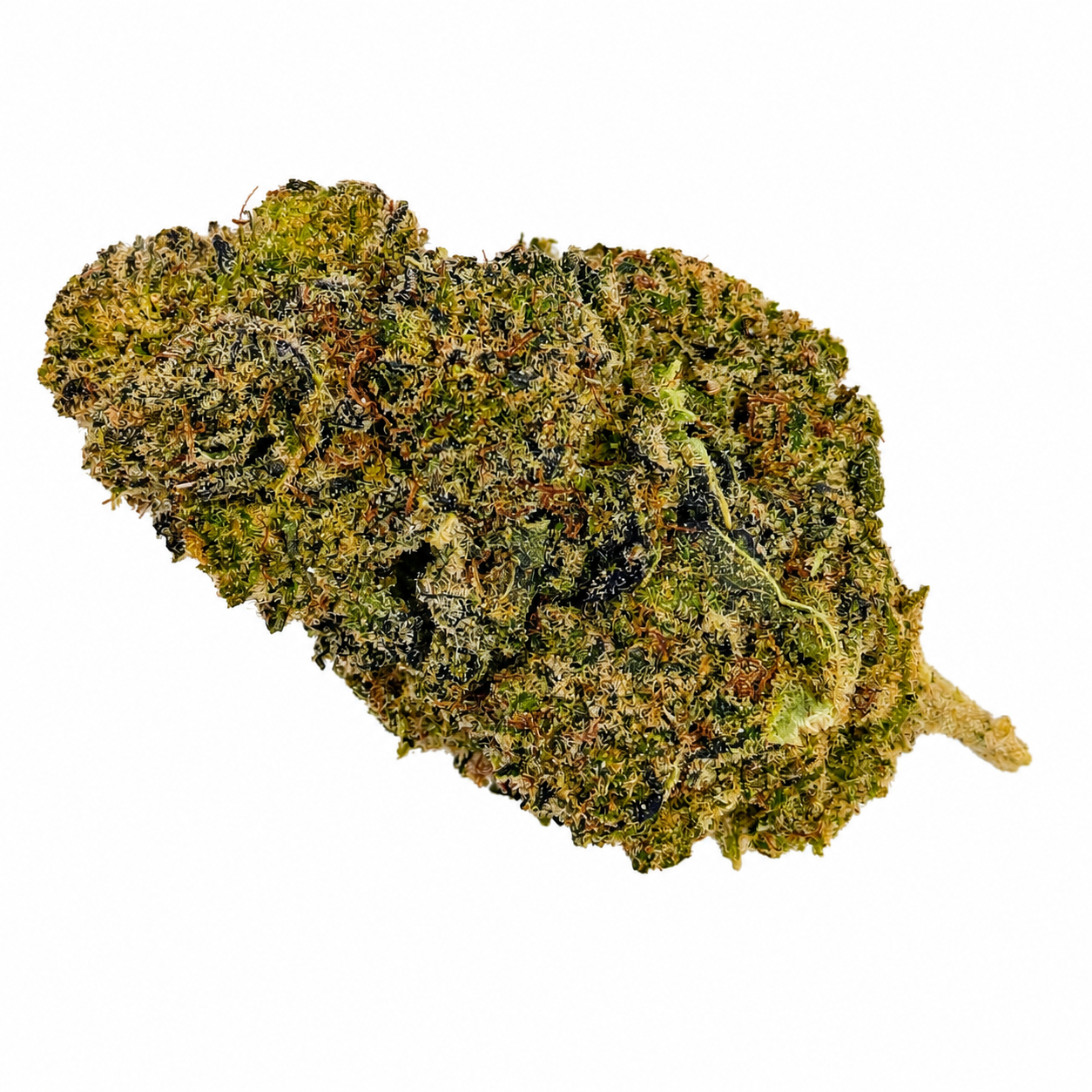 Blue Dream New Generation