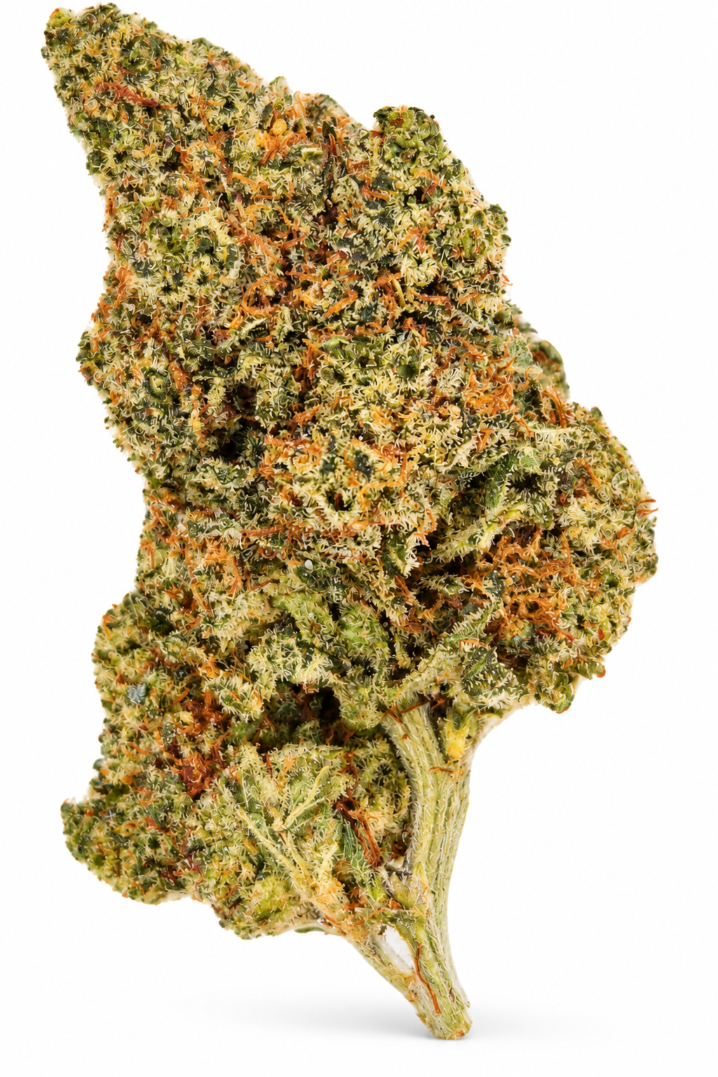 Forbidden Fruit New Generation Infused