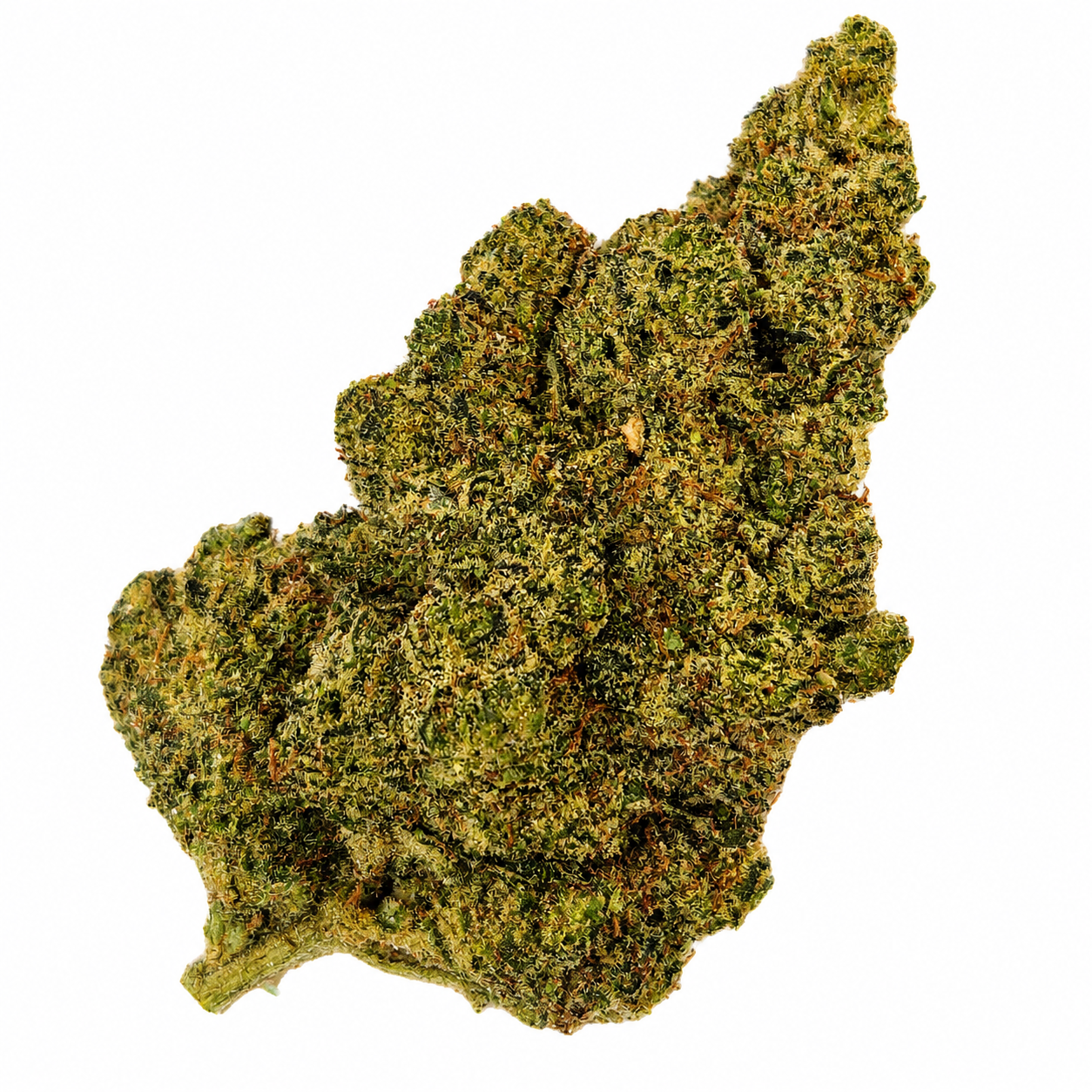 Zkittlez New Generation