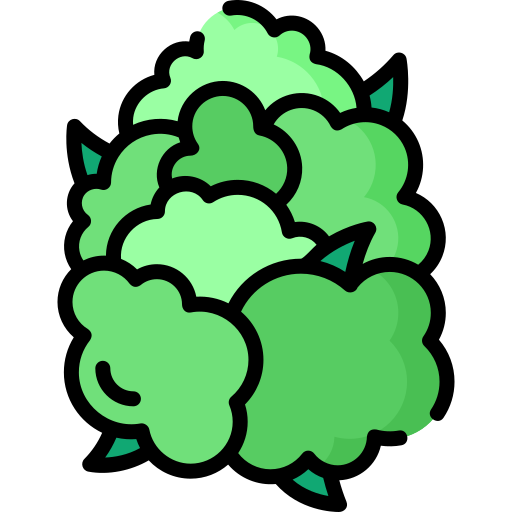 Nuevos Cannabinoides