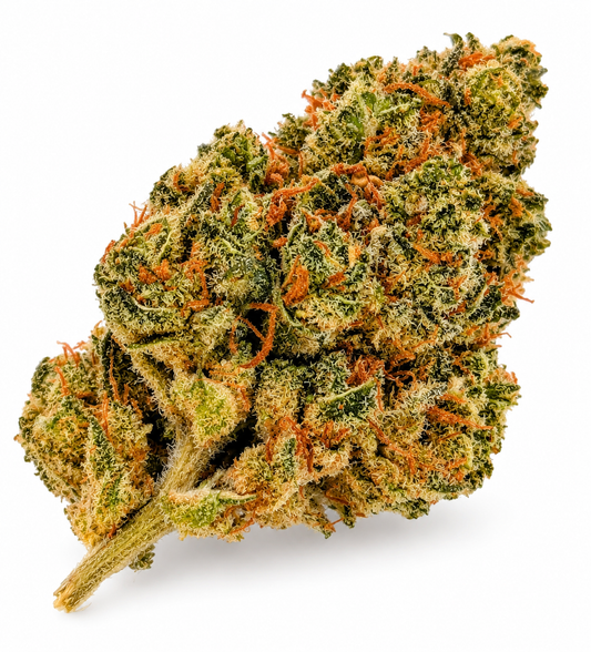 Caviar Haze New Generation Infused