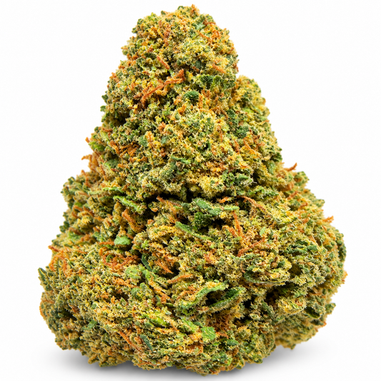Mimosa CBD flor aromática premium con perfil cítrico tropical y notas de naranja