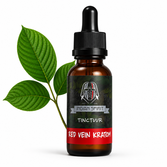 Kratom | Tintura de vena roja (10 ml)