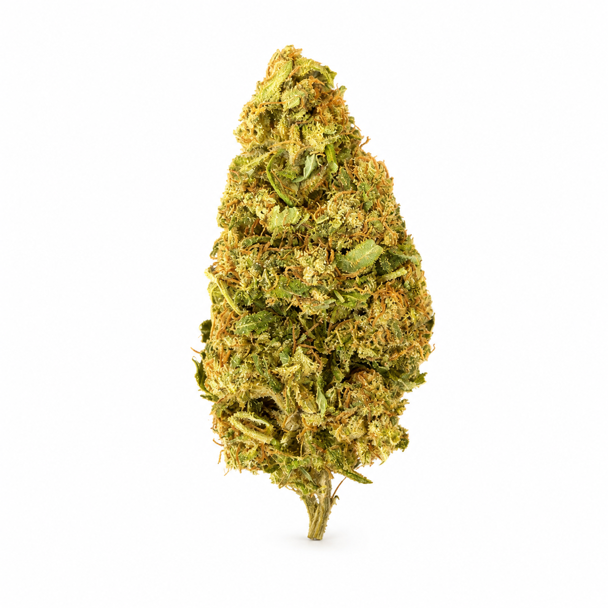 Sour Runtz CBD Indoor