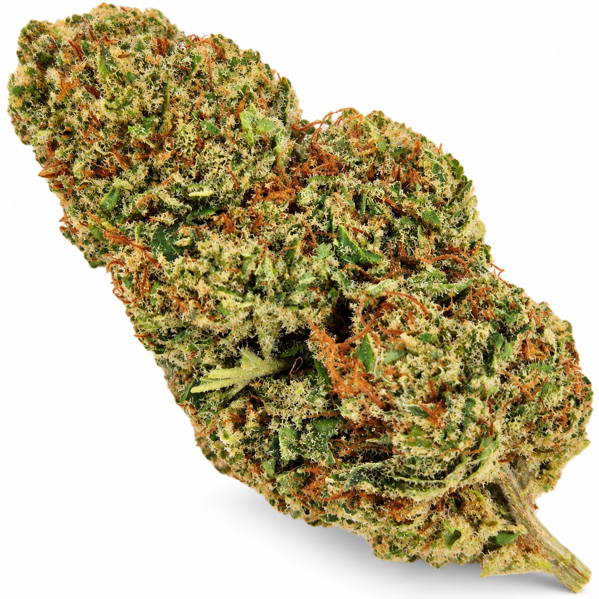 Orange Sherbert CBD flor aromática premium con perfil de naranja dulce crema cítrica y fondo herbal