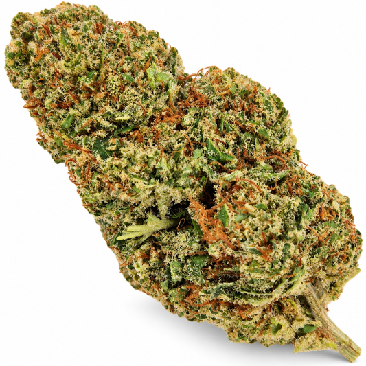 Orange Sherbert CBD flor aromática premium con perfil de naranja dulce crema cítrica y fondo herbal