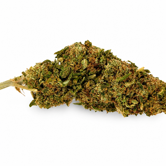 Passion Fruit CBD Indoor